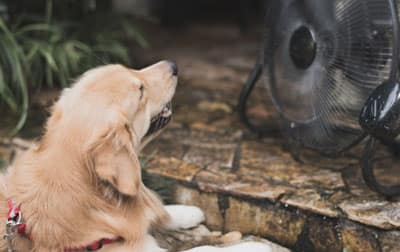 Services Air Conditioner 3